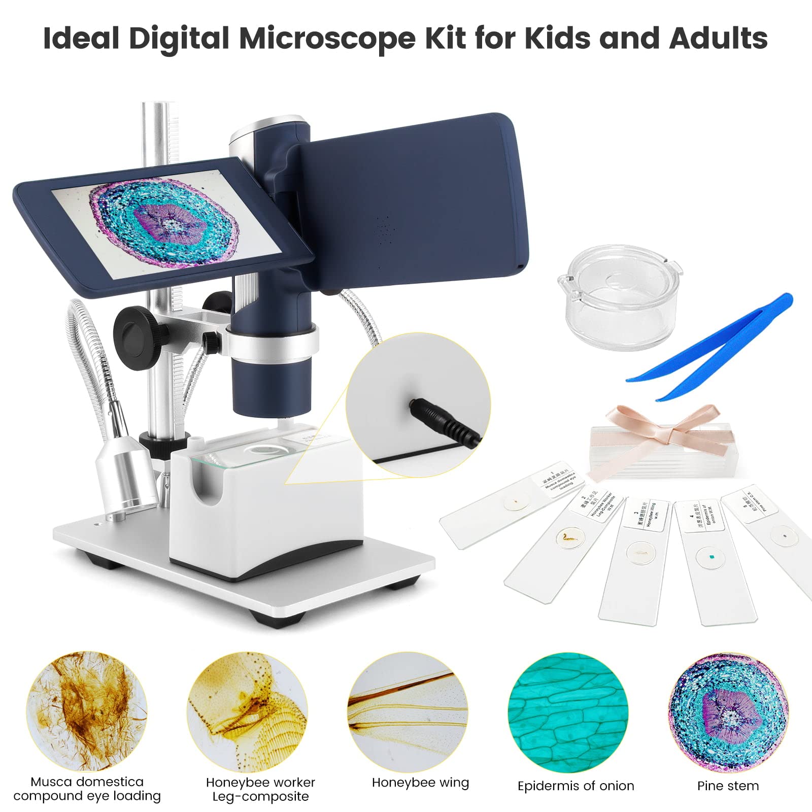 Andonstar AD203 Handheld Digital Microscope, Portable Pocket USB Coin Microscope with 4 inch Screen for Kids and Adults, Black, Electronic FHD Video, Windows Mac PC
