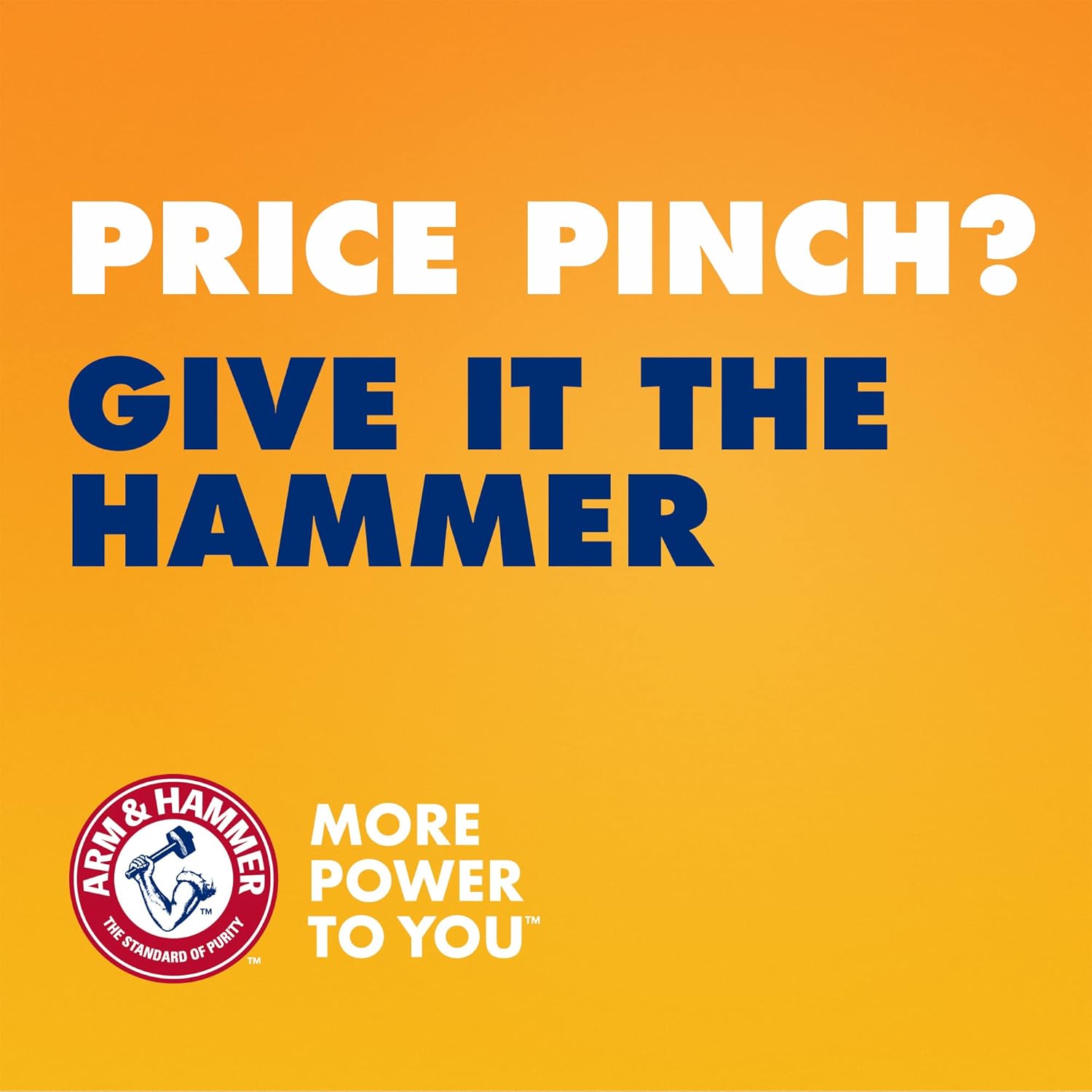 ARM & HAMMER Plus OxiClean with Odor Blasters Liquid Laundry Detergent, Laundry Odor Remover, Attacks Stains, Fresh Botanical Scent, 74 Loads, 96.2 Fl Oz